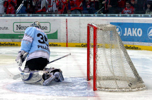 Scorpions070310   060.jpg